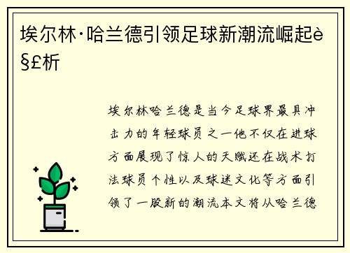 埃尔林·哈兰德引领足球新潮流崛起解析