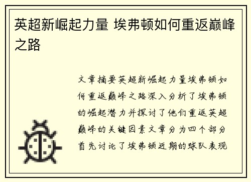 英超新崛起力量 埃弗顿如何重返巅峰之路
